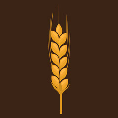 Wheat spike yellow isolated on white background. Ear organic with flat and solid color design. Vector Illustration