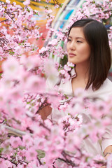 Thoughtful Asian woman standing at blossoming cherry tree and enjoying its beauty, waist-up portrait