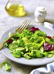 Salad leaves mix with avocado and cucumber.
