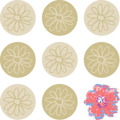 Set of circles with flowers same and last different