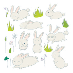 Cute bunnies and meadow grass