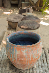 Indigofera tinctoria in fermenter