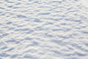 Texture of the snow cover. The snow background on the surface of the ice with wind patterns. The winter season in detail.