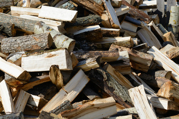 Firewood outdoors