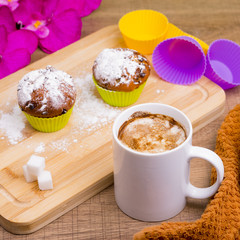 Bright Cupcake with icing sugar and chocolate
