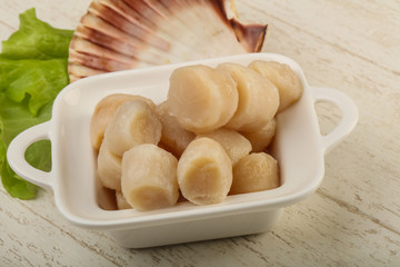Raw scallops heap