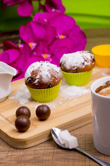 Bright Cupcake with icing sugar and chocolate