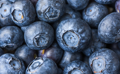 Fresh Blueberries Background