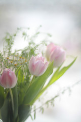 Букет тюльпанов в вазе на окне 