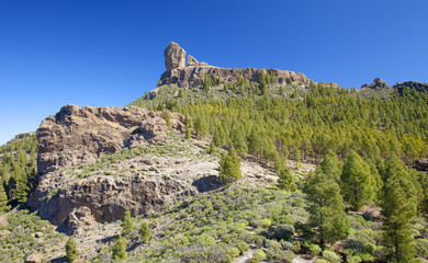 central Gran Canaria in February