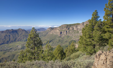 central Gran Canaria in January