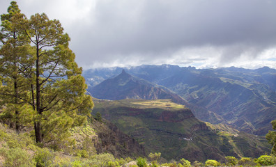 central Gran Canaria in January