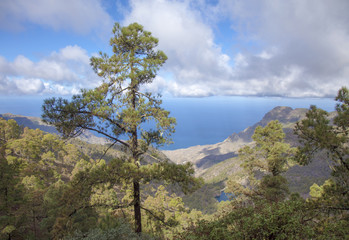 Fototapeta na wymiar central Gran Canaria in January
