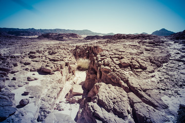 Fototapeta na wymiar Sinai desert landscape