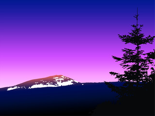 Eco banner. Silhouette of mountains with snow and coniferous trees. Sunset. Violet and pink tones.