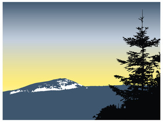 Eco banner. Silhouette of mountains with snow and coniferous trees. Grey and yellow tones.