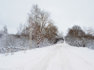 Fototapeta na wymiar Road through snowy forest. The road cleared with a tractor for cars. Winter in Russia.