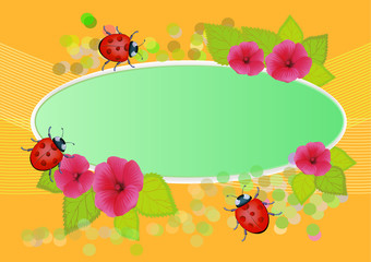 vector with flowers and summer beetles for books and albums