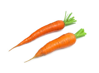 Carrot isolated on white background close up.