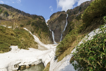 Fototapeta na wymiar 春の称名滝 Shomyo Falls