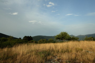 Prairie dans les Pyrénées audoises, France