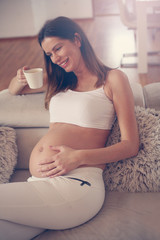 Obraz na płótnie Canvas Pregnant woman at home.