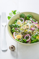 Homemade green salad with quail egg, radish and onion