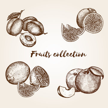 Hand drawn fruits collection
