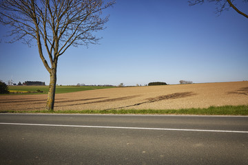 Fototapeta premium Acker