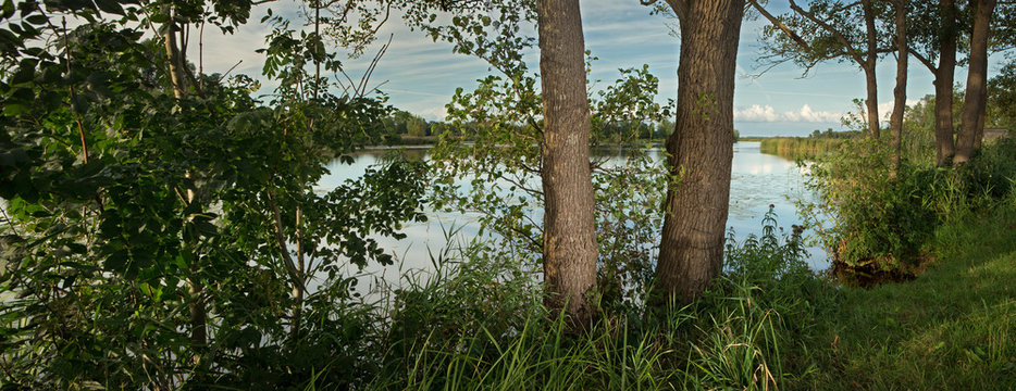 Dutch landscape near Giethoorn. Lake.  Overijssel Netherlands. Trees. Panorama.