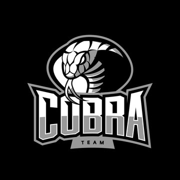 Furious cobra sport vector logo concept isolated on dark background. Web infographic military professional team pictogram.
Premium quality wild snake t-shirt tee print illustration.