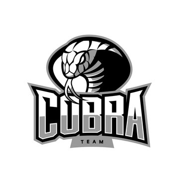 Furious cobra sport vector logo concept isolated on white background. Web infographic military professional team pictogram.
Premium quality wild snake t-shirt tee print illustration.