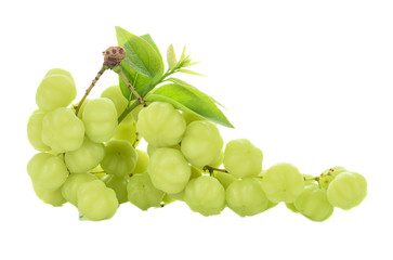 Star gooseberry and leaves isolate on white background