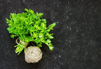 Green parsley on dark background