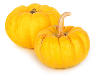 beautiful Fancy pumpkin on a white background