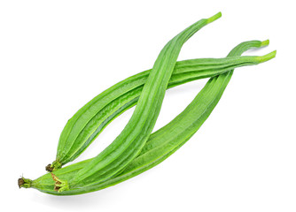 fresh luffa acutangula isolated on white background