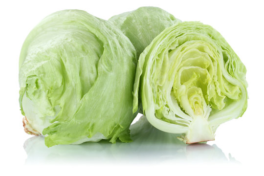 Eisbergsalat Salat geschnitten frisch Gemüse Freisteller freigestellt isoliert