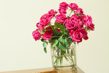 Fototapeta na wymiar deep pink rose