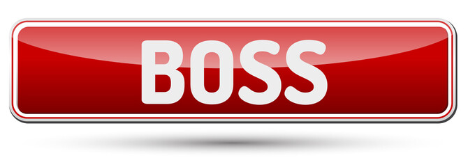 BOSS - Abstract beautiful button with text.