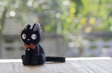 Black Cat Dolls on the background bokeh.