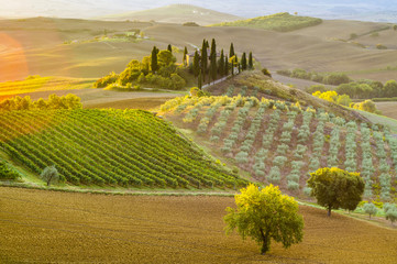 Tuscan autumn landscape in the light of the rising sun