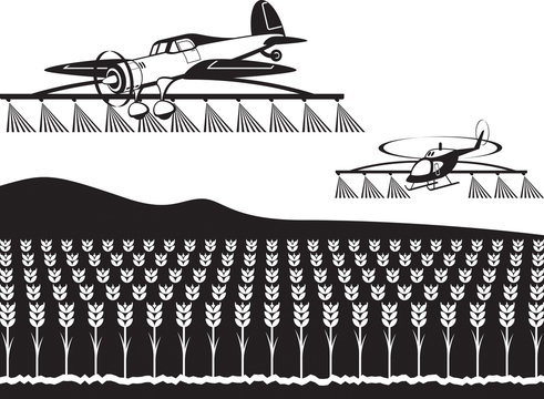 Agricultural aircraft and helicopter spray crops with fertilizers - vector illustration