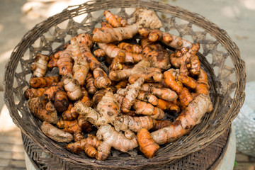 fresh turmeric roots in basket