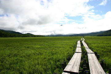 尾瀬　木道