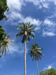 Fototapeta premium The Sky in Huahin, Thailand