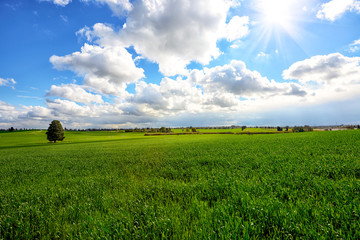 Beautiful sunny day in Israel in the winter