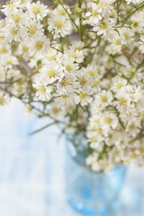 Abstract blur background of white cutter flowers, airy masses of small white flowers on blue wooden background, bright tone, soft and selective focus, blurred background with copy space.
