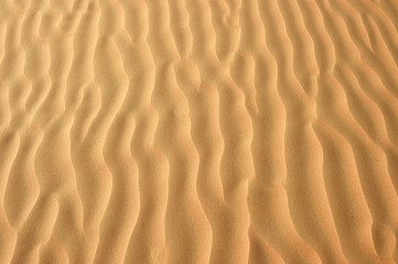 Fototapeta na wymiar Sandstruktur 