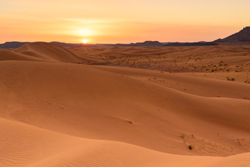 Fototapeta na wymiar Ouzina sahara desert dunes sunset, Morocco 