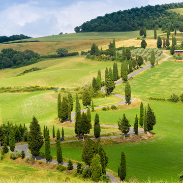 Road to Monticchiello